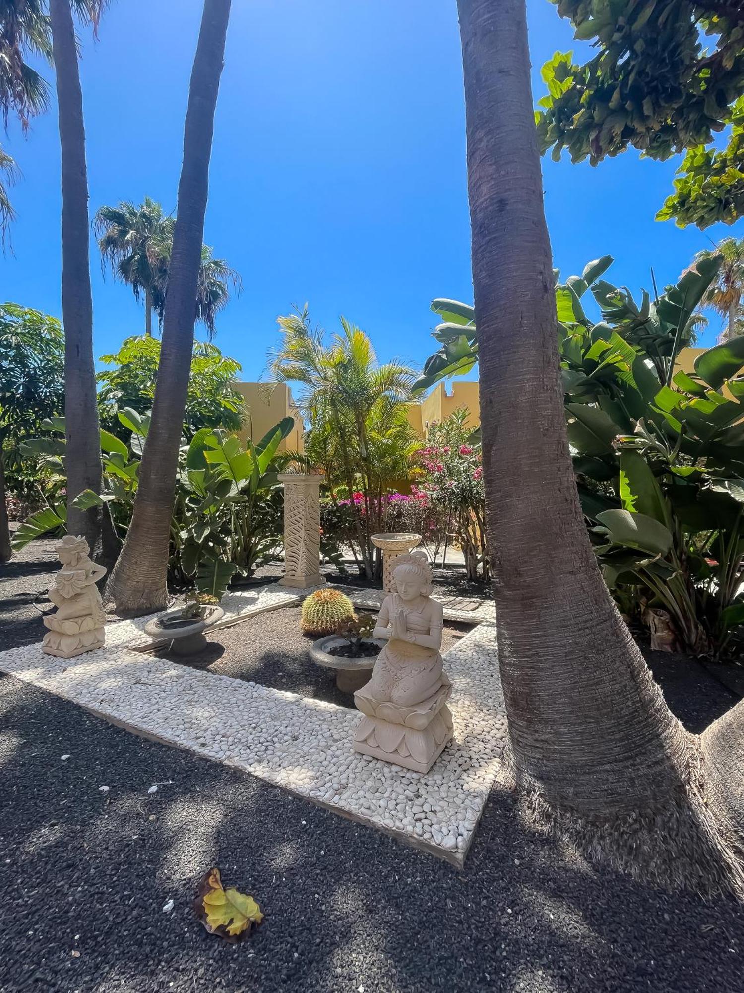 B-Rent Atlantic Garden 181 Apartment Corralejo Exterior photo